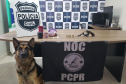 Cães da PCPR apreendem mais drogas em 2020 do que soma dos dois anos anteriores
Foto: PCPR