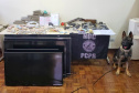 Cães da PCPR apreendem mais drogas em 2020 do que soma dos dois anos anteriores
Foto: PCPR
