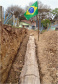 Pinheira de Pedra.Foto: Divulgação/IAT