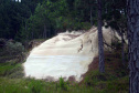 Pirambioa. Foto: Divulgação/IAT