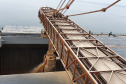Um novo embarque recorde está sendo realizado no Corredor de Exportação do Porto de Paranaguá, nesta semana. No berço 214, o navio E.R Bayonne carrega 104,2 mil toneladas de farelo de soja. Este é o maior volume de granel de exportação já movimentado pelo porto.
Foto: Claudio Neves