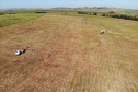 Obra de usina solar da Copel em Bandeirantes segue durante quarentena 
.Foto:Copel