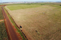 Obra de usina solar da Copel em Bandeirantes segue durante quarentena 
.Foto:Copel