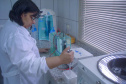 Uma pesquisa da Universidade Estadual de Maringá (UEM) está analisando se produtos naturais podem ser usados no combate ao coronavírus. Conduzida pelo professor doutor Flavio Seixas, a pesquisa busca identificar substâncias que bloqueiem as enzimas responsáveis pela multiplicação do vírus.
Foto:UEM