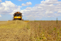PIB do Paraná aumentou 2,3% no primeiro trimestre de 2020. Fotos:Jaelson Lucas / AEN