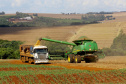PIB do Paraná aumentou 2,3% no primeiro trimestre de 2020
. Fotos:Jaelson Lucas / AEN