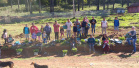 Apoio a famílias rurais é destacado no Dia do Agricultor
.Foto:SEJUF