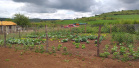 Apoio a famílias rurais é destacado no Dia do Agricultor
.Foto:SEJUF