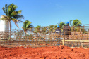 Colégio agrícola no Noroeste
terá sede esperada há 11 anos.