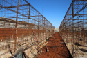 Obras de Construçao da Cadeia Publica de Guaira no loteamento Jardim Floresta com investimento de 16 milhoes. Exemplo da nova realidade do sistema carcerário que está sendo construída no Paraná. Acabar com o problema da superlotação em carceragens de delegacias e realocar os detentos em um espaço estruturado é uma das principais metas do Governo do Estado.   06/08/2020 -  Foto: Geraldo Bubniak/AEN