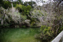 Foto: Arion Ferreira 