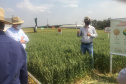 A Secretaria de Estado da Agricultura e do Abastecimento oficializou nesta quinta-feira (10) a adesão do município de Cascavel ao Sistema Unificado Estadual de Sanidade Agroindustrial Familiar, Artesanal e de Pequeno Porte do Paraná (Susaf-PR). . Foto:SEAB