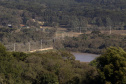 Paraná Trifásico alcança 1,2 mil quilômetros de novas redes.Foto:Ari Dias/AEN.