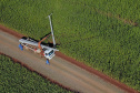 Paraná Trifásico alcança 1,2 mil quilômetros de novas redes.Foto:José fernando Ogura/AEN.