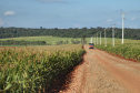 Paraná Trifásico alcança 1,2 mil quilômetros de novas redes.Foto:José fernando Ogura/AEN.
