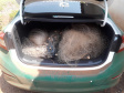 Atividades irregulares foram identificadas em parques estaduais
. Foto:SEDEST