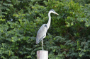 Portos do Paraná mantêm cuidado com o meio ambiente. Foto:lLeonardo de Conto