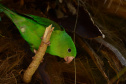 Portos do Paraná mantêm cuidado com o meio ambiente. Foto:lLeonardo de Conto
