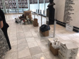 Dia Mundial da Limpeza tem adesão de 12 instituições no Paraná
.Foto:SEDEST