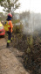 Bombeiros do Paraná completam dez dias de combate a incêndios no Pantanal
. Foto: Corpo de Bombeiros