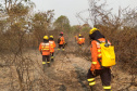 Bombeiros do Paraná completam dez dias de combate a incêndios no Pantanal
. Foto: Corpo de Bombeiros