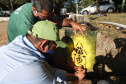 A Rota dos Pioneiros, a maior trilha aquática do Brasil e que deve ser tornar a maior do mundo, está retomando suas atividades. O grupo de voluntários responsável pela demarcação da rota ao longo do Rio Paraná e de seus afluentes voltou a fazer a sinalização do percurso, depois de uma interrupção de sete meses por causa da pandemia do novo coronavírus. Alguns passeios de caiaque pelo rio também voltaram a ser oferecidos por guias locais.  Foto:Divulgação