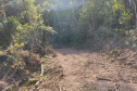 Em oito dias de ações, o Batalhão de Polícia Ambiental-Força Verde (BPAmb-FV) lavrou 26 autos de infração ambiental e aplicou mais de R$ 2,5 milhões em multas por desmatamento de florestas em todo o estado pela quarta edição da Operação Mata Atlântica em Pé. O trabalho é feito em conjunto com o Instituto Água e Terra (IAT), o Ibama e o Ministério Público do Paraná. Foto:SESP