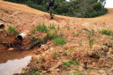 Em oito dias de ações, o Batalhão de Polícia Ambiental-Força Verde (BPAmb-FV) lavrou 26 autos de infração ambiental e aplicou mais de R$ 2,5 milhões em multas por desmatamento de florestas em todo o estado pela quarta edição da Operação Mata Atlântica em Pé. O trabalho é feito em conjunto com o Instituto Água e Terra (IAT), o Ibama e o Ministério Público do Paraná. Foto:SESP