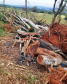 Em oito dias de ações, o Batalhão de Polícia Ambiental-Força Verde (BPAmb-FV) lavrou 26 autos de infração ambiental e aplicou mais de R$ 2,5 milhões em multas por desmatamento de florestas em todo o estado pela quarta edição da Operação Mata Atlântica em Pé. O trabalho é feito em conjunto com o Instituto Água e Terra (IAT), o Ibama e o Ministério Público do Paraná. Foto:SESP
