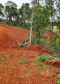 Em oito dias de ações, o Batalhão de Polícia Ambiental-Força Verde (BPAmb-FV) lavrou 26 autos de infração ambiental e aplicou mais de R$ 2,5 milhões em multas por desmatamento de florestas em todo o estado pela quarta edição da Operação Mata Atlântica em Pé. O trabalho é feito em conjunto com o Instituto Água e Terra (IAT), o Ibama e o Ministério Público do Paraná. Foto:SESP