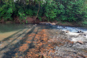 Calor, estiagem e consumo colocam em risco abastecimento no Sudoeste. Foto: Sanepar