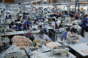 Sai do Sudoeste do Paraná a maior parte das roupas masculinas confeccionadas no Brasil.
A Krindges é pioneira na região, fundada há 43 anos, foi quem deu início ao processo de industrialização de Ampére e redondezas. Hoje, com 850 funcionários, é a maior empregadora do município e uma das mais importantes produtoras de roupas masculinas do país.