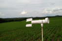 O Instituto de Desenvolvimento Rural do Paraná - Iapar-Emater (IDR-Paraná) inicia oficialmente nesta quinta-feira (15) o Alerta Ferrugem, serviço que monitora e informa sobre a ocorrência da ferrugem asiática em lavouras de soja nas regiões produtoras do Estado.Foto:SEAB