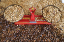 Governo apoia produção de cafés especiais no Norte Pioneiro. Foto: José Frnando Ogura/AEN