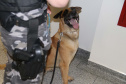 Foto:SESP