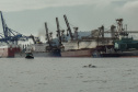 O cuidado com animais marinhos que vivem na área dos portos de Paranaguá e Antonina é o tema de uma nova campanha da Portos do Paraná. A empresa pública, em conjunto com a Cia Ambiental, desenvolveu uma cartilha para orientar embarcações sobre como agir ao encontrar grupos de botos-cinza durante a navegação.