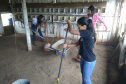 Projeto de reflorestamento com uso de foguetes é de três alunas do Colégio Agrícola de Palotina e está na final do prêmio Respostas para o Amanhã, da Samsung. É o único finalista da região Sul e competiu com 800 projetos de todo o país.

Foto: SEED
