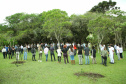 Governo do Estado faz plantio de mudas de araucária. Foto: Ari Dias/AEN