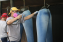 FEITO NO PARANA -  O Grupo Beeight há mais de duas décadas comercializa e vende moda