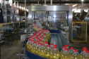 FEITO NO PARANA -  Coamo  cooperativa agro-industrial , a maior cooperativa da América Latina, com sede em Campo Mourão. Tem na linha alimentícia as marcas Primê, Sollus, Dualis e Anniela produz óleo de soja refinado, café torrado e moído, margarinas, farinha de trigo e gordura vegetal hidrogenada. 09/10/2020 -  Foto: Geraldo Bubniak/AEN