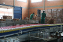 FEITO NO PARANA -  Coamo  cooperativa agro-industrial , a maior cooperativa da América Latina, com sede em Campo Mourão. Tem na linha alimentícia as marcas Primê, Sollus, Dualis e Anniela produz óleo de soja refinado, café torrado e moído, margarinas, farinha de trigo e gordura vegetal hidrogenada. 09/10/2020 -  Foto: Geraldo Bubniak/AEN