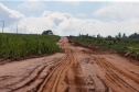 Um convênio entre Itaipu Binacional, Departamento Nacional de Infraestrutura de Transportes (DNIT) e Governo do Paraná vai garantir a execução das obras no trecho paranaense da BR-487, mais conhecida como Estrada Boiadeira. O trecho de 47 km liga os municípios Icaraíma (Porto Camargo) e Umuarama (Serra dos Dourados), no Noroeste do Paraná, e deve estar pronto até início de 2022. 19/11/2020 - Foto: Geraldo Bubniak/AEN