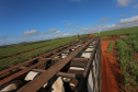 Um convênio entre Itaipu Binacional, Departamento Nacional de Infraestrutura de Transportes (DNIT) e Governo do Paraná vai garantir a execução das obras no trecho paranaense da BR-487, mais conhecida como Estrada Boiadeira. O trecho de 47 km liga os municípios Icaraíma (Porto Camargo) e Umuarama (Serra dos Dourados), no Noroeste do Paraná, e deve estar pronto até início de 2022. 19/11/2020 - Foto: Geraldo Bubniak/AEN
