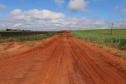 Um convênio entre Itaipu Binacional, Departamento Nacional de Infraestrutura de Transportes (DNIT) e Governo do Paraná vai garantir a execução das obras no trecho paranaense da BR-487, mais conhecida como Estrada Boiadeira. O trecho de 47 km liga os municípios Icaraíma (Porto Camargo) e Umuarama (Serra dos Dourados), no Noroeste do Paraná, e deve estar pronto até início de 2022. 19/11/2020 - Foto: Geraldo Bubniak/AEN