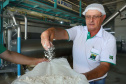 Em Terra Rica está instalada a Farinheira Roders, empresa de origem catarinense que desde 1997 se instalou no paraná para produção de farinha de mandioca. De acordo com Vilmar Roders, proprietário da empresa, são feitas mil toneladas de farinha por mês, sendo que 60% deste volume é destinado à exportação. Foto: José Fernando Ogura/AEN