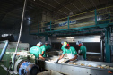 Em Terra Rica está instalada a Farinheira Roders, empresa de origem catarinense que desde 1997 se instalou no paraná para produção de farinha de mandioca. De acordo com Vilmar Roders, proprietário da empresa, são feitas mil toneladas de farinha por mês, sendo que 60% deste volume é destinado à exportação. Foto: José Fernando Ogura/AEN