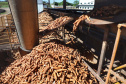 A Amidos Bankhardt, localizada em Paranavaí, existe há 15 anos e produz fécula de mandioca. São 50 funcionários e produção mensal de 1,25 toneladas, sendo que a maior parte é destinada a outras indústrias de transformação. Foto: José Fernando Ogura/AEN