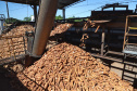 A Amidos Bankhardt, localizada em Paranavaí, existe há 15 anos e produz fécula de mandioca. São 50 funcionários e produção mensal de 1,25 toneladas, sendo que a maior parte é destinada a outras indústrias de transformação. Foto: José Fernando Ogura/AEN