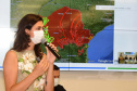 A última reunião ordinária do ano da Comissão Intergestores Bipartite do Paraná (CIB) realizada nesta quarta-feira (9), por meio de videoconferência, definiu pela atenção redobrada em relação à Covid-19 por parte do Estado e municípios no período das festas de final de ano.Foto: Mônica Candéo Iurk