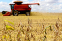 Agropecuária foi base de sustentação da balança comercial.